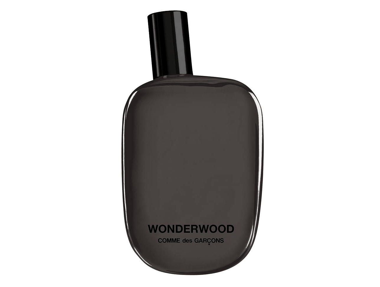 comme de GARCONS コムデギャルソン WONDERWOOD