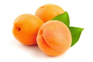アプリコット (Apricot)」はどんな香り？ – セレス 
