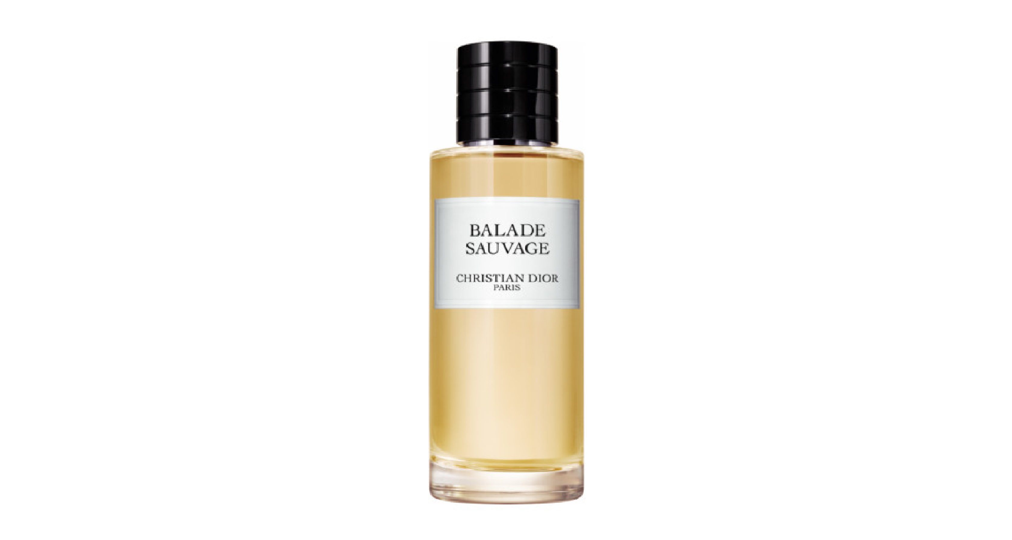 BALADE SAUVAGE CHRISTIAN DIOR PARIS