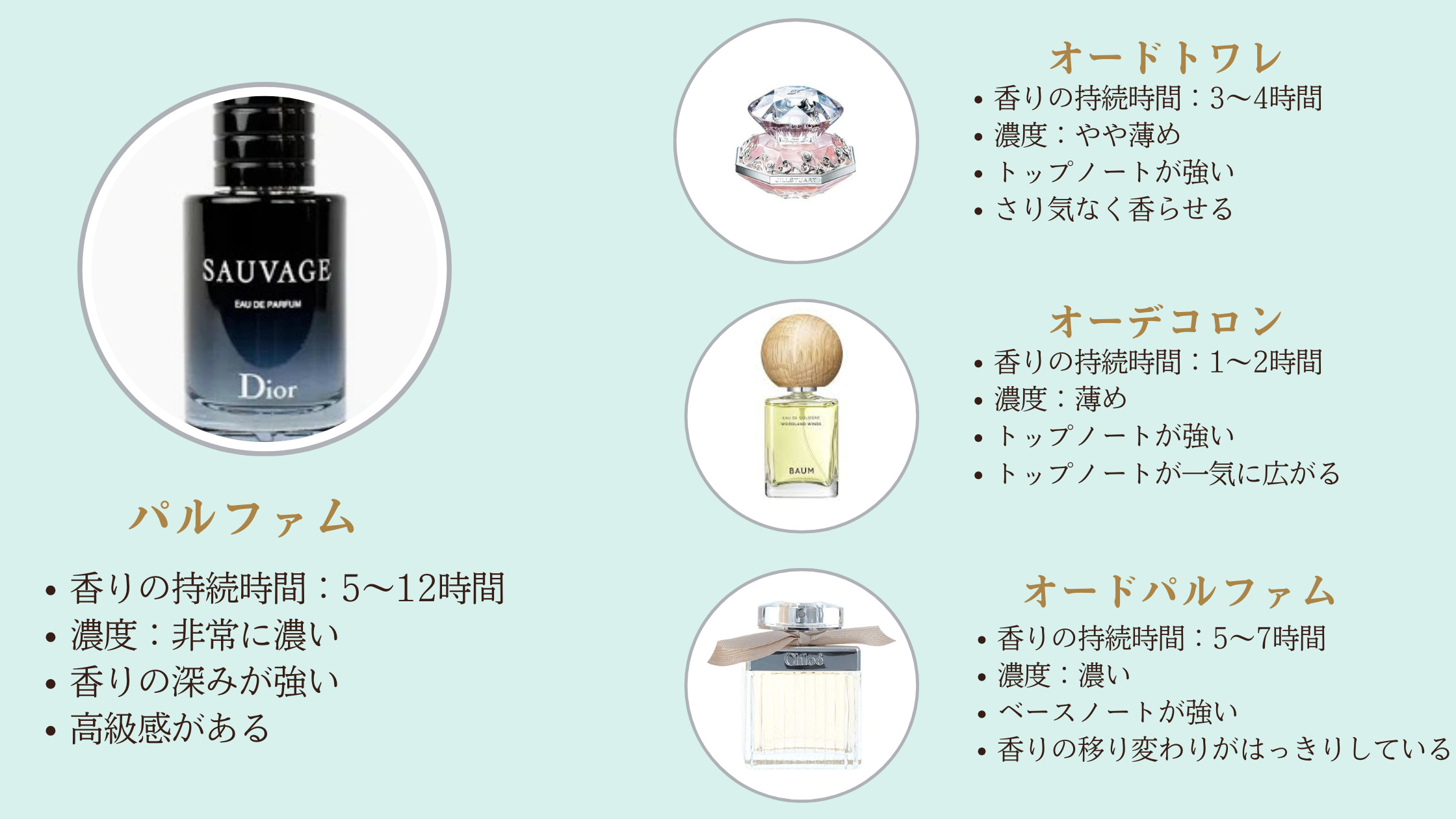 活動歴および当時の関連ビジュアル記録