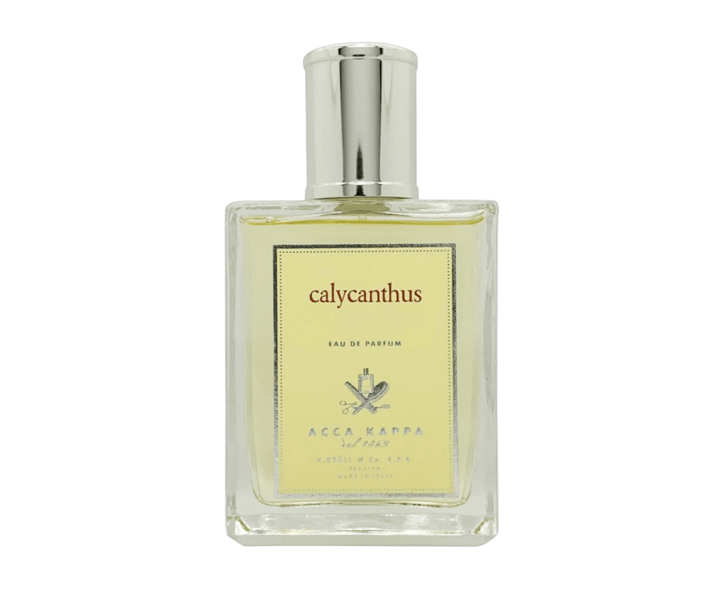 Acca Kappa – Calycanthus (アッカカッパ – カリカントゥス)
