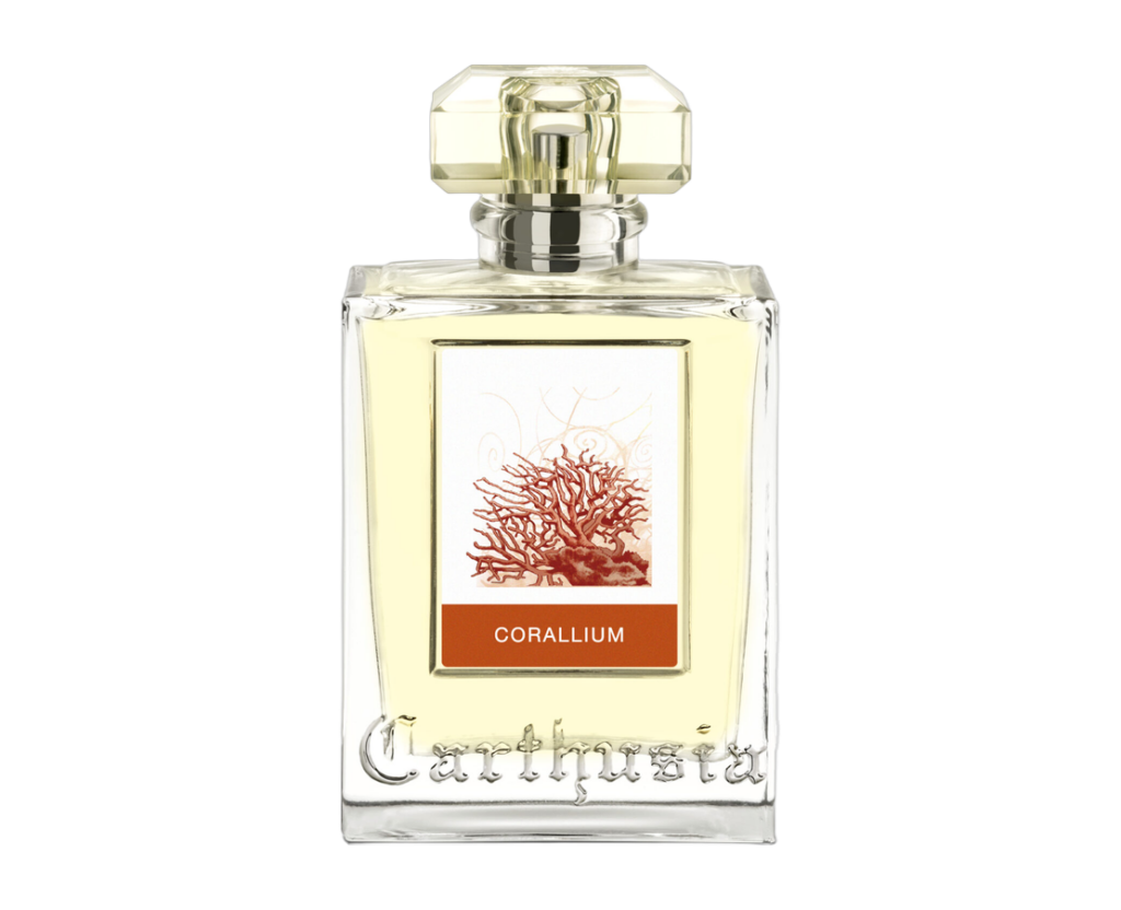 Carthusia – Corallium<p>(カルトゥージア – コラリウム)