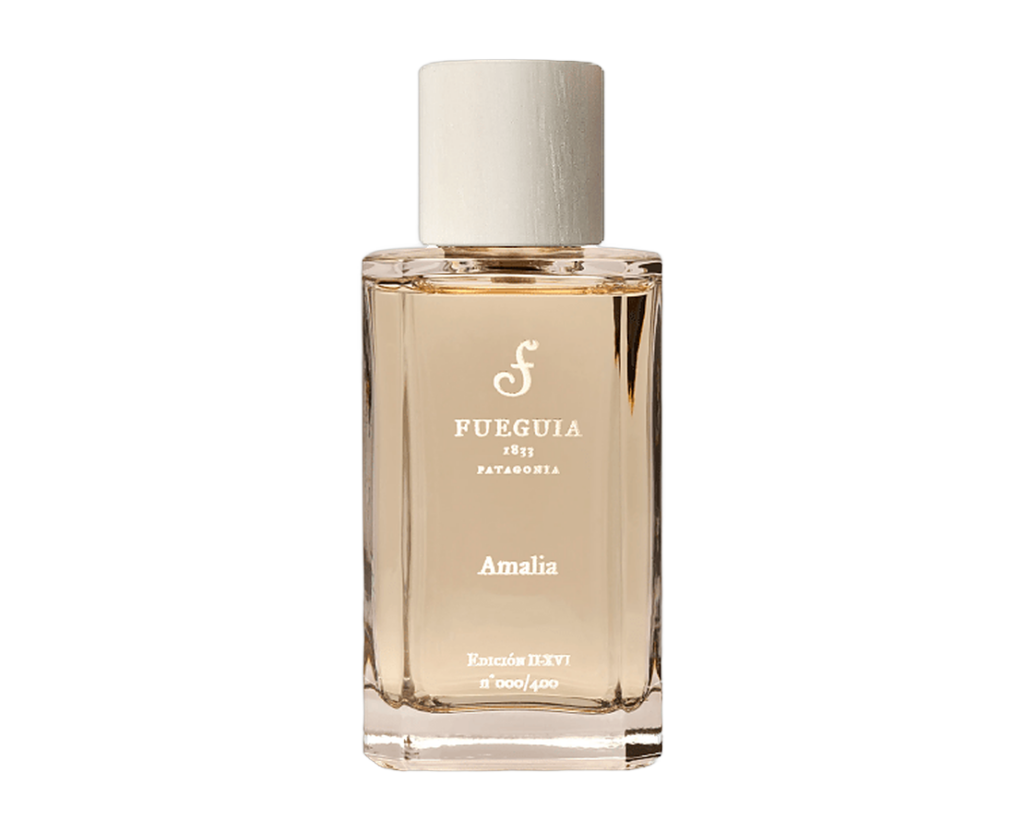 Fueguia – Amalia<p>(フエギア – アマリア)