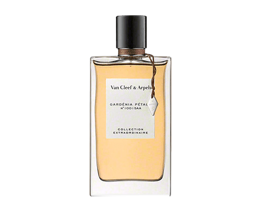 Van Cleef & Arpels – Gardenia Petale<p>(ヴァン クリーフ＆アーぺル − ガーデニア ペタル)